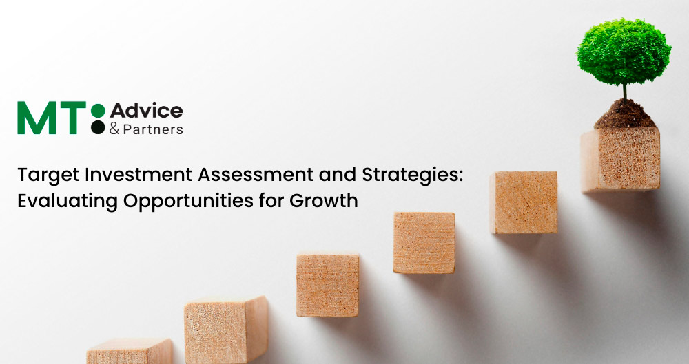 MT Advice & Partners Target Investment Assessment